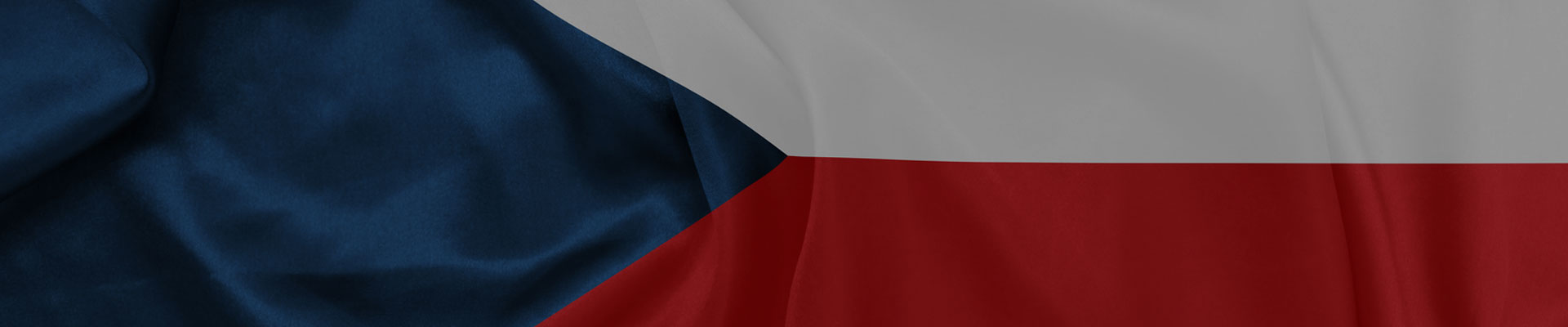 Годовая виза Чехии по трудовой карте