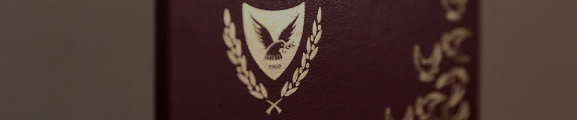 В какие страны не нужна виза гражданам Кипра