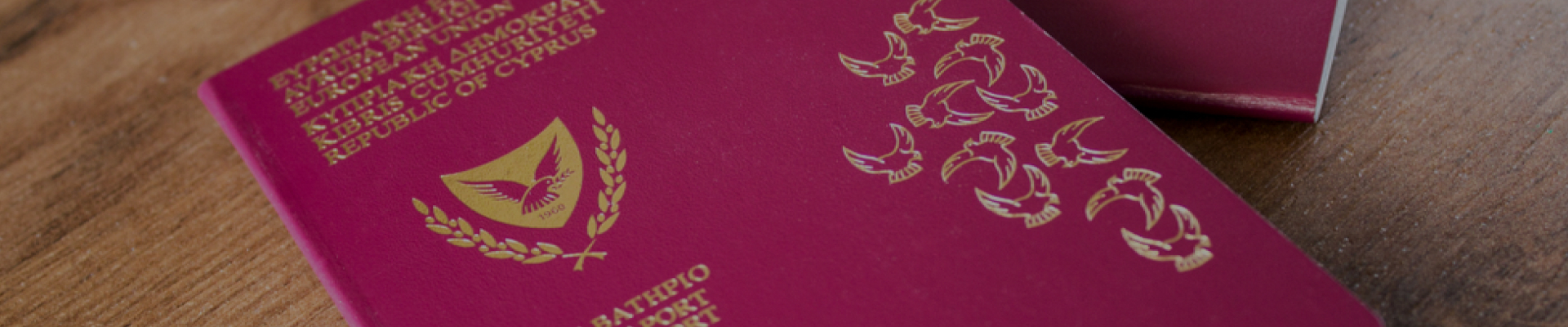 Программа гражданства за инвестиции Кипра «заморожена» Программа гражданства за инвестиции Кипра «заморожена»