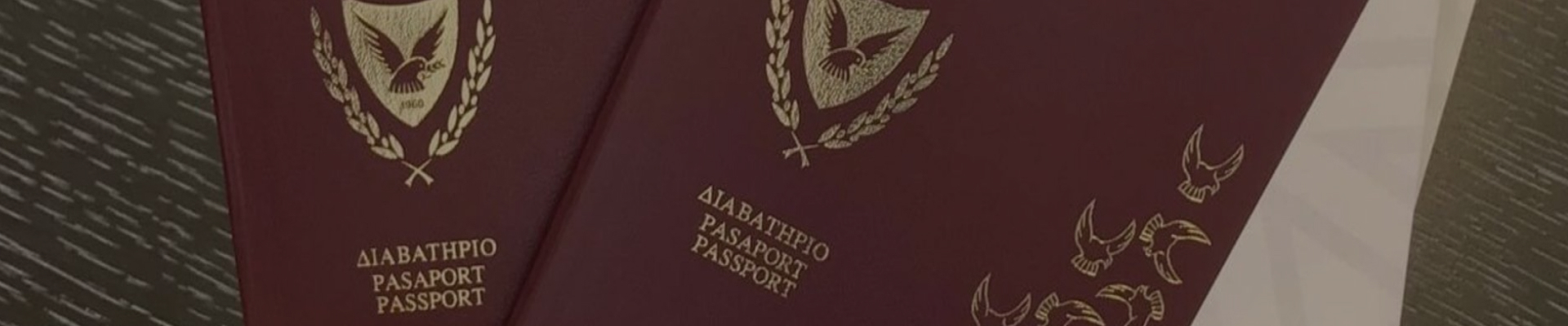 Спикер Парламента Кипра призвал заморозить программу «золотых паспортов»