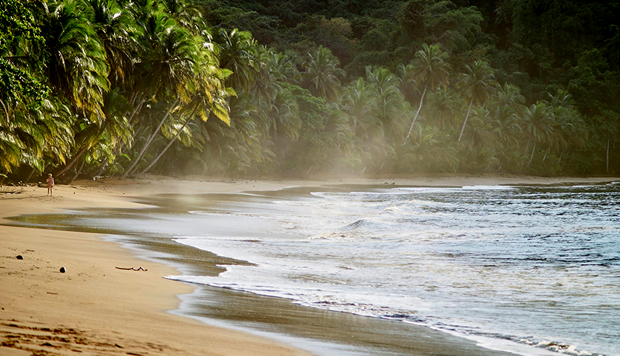 Гражданство Сан-Томе и Принсипи