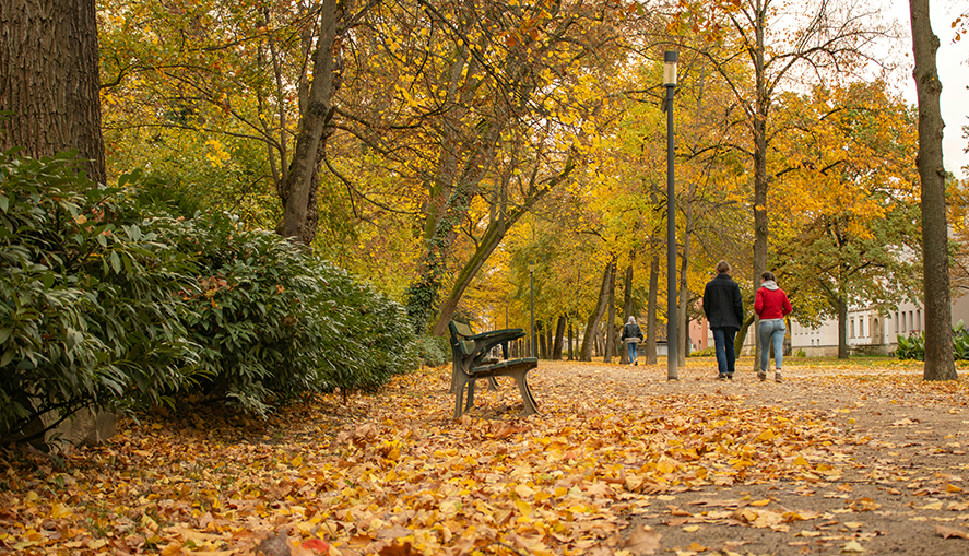 Дайджест от Migration Group