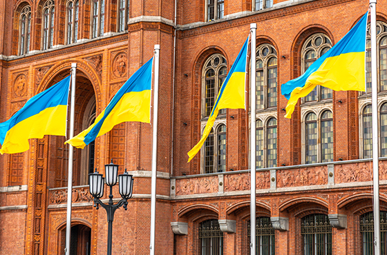 Гражданство Украины 2026