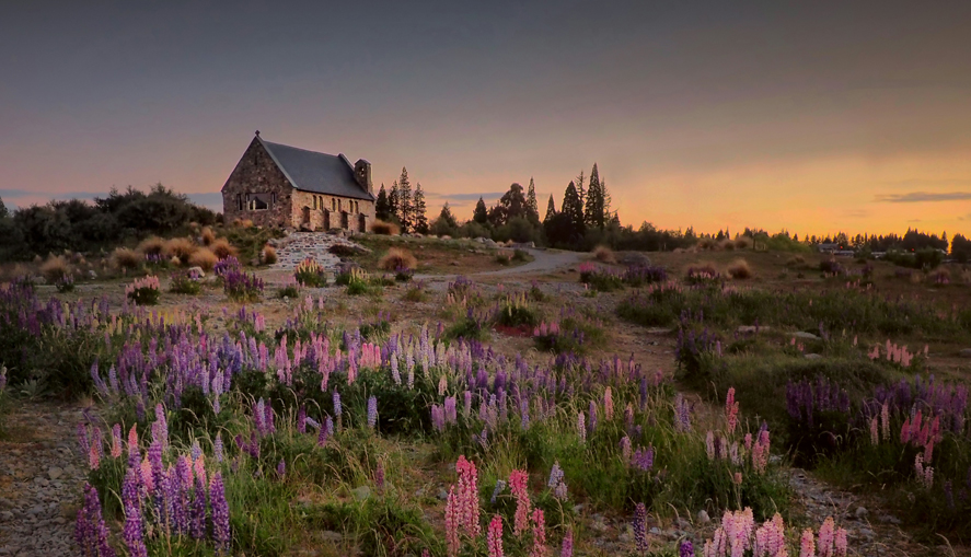 Дайджест от Migration Group