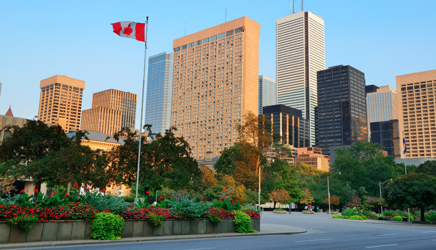 Дайджест от Migration Group