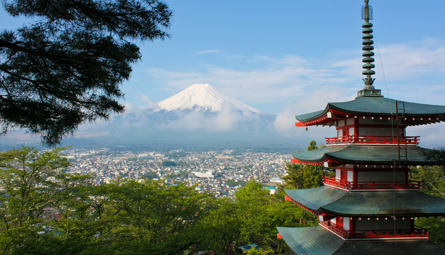 Дайджест от Migration Group